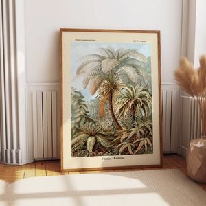 Fern Illustration By Ernst Haeckel Kunstformen Der Natur